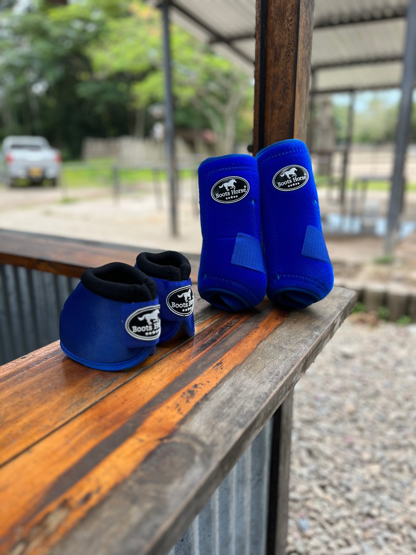 Protectores Azul Royal