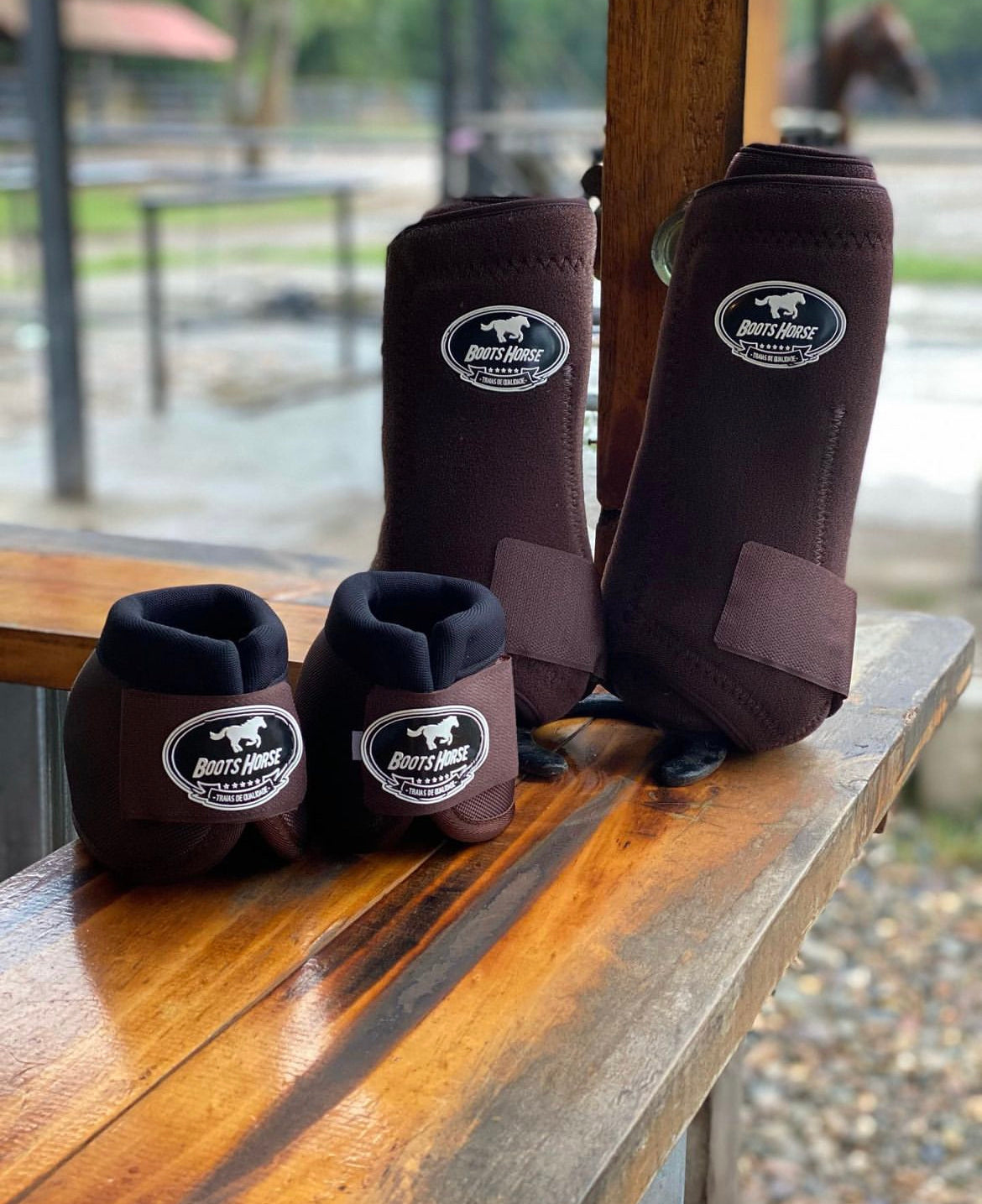Protectores Café