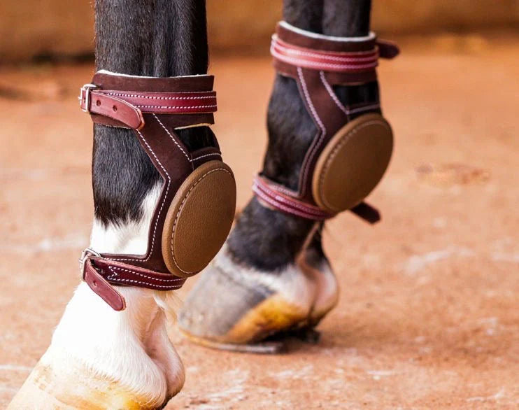Skid boots de cuero
