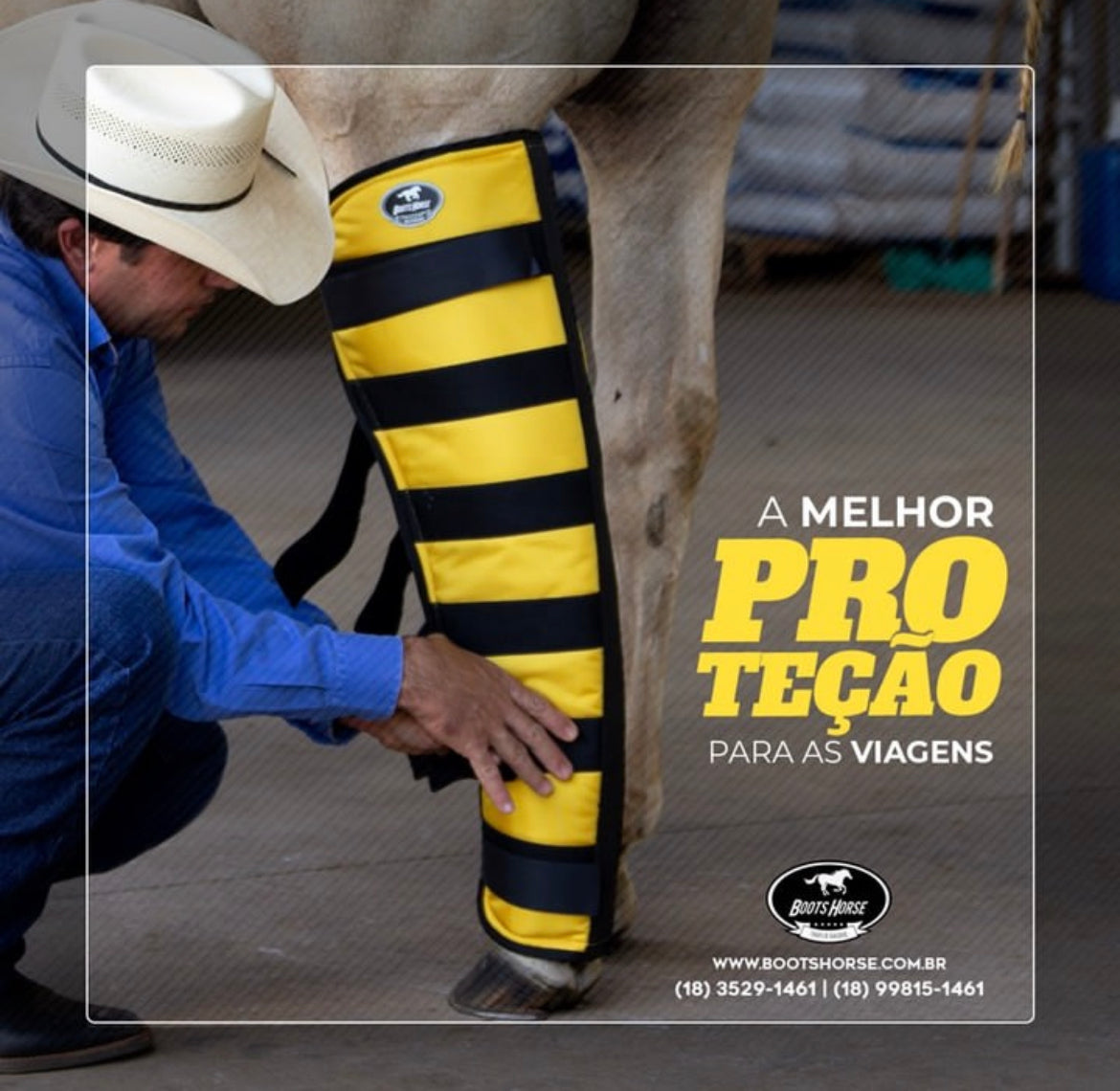 Protectores de Viaje