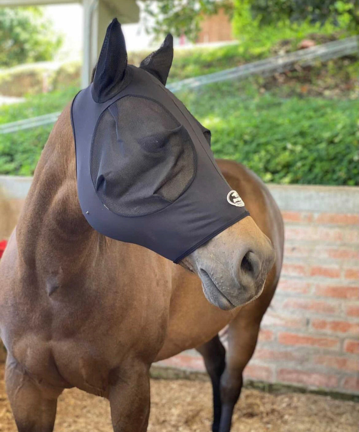 Máscara para mosca