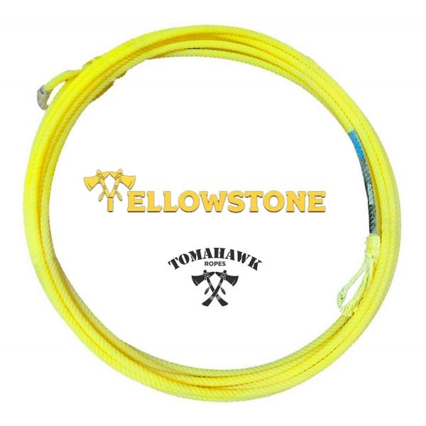 Lazo Yellowstone