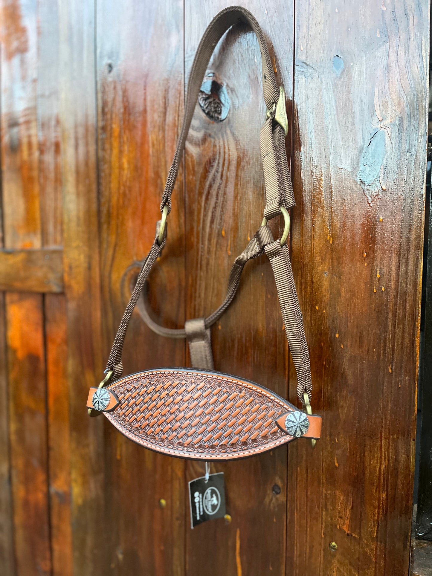 Halter de exposición